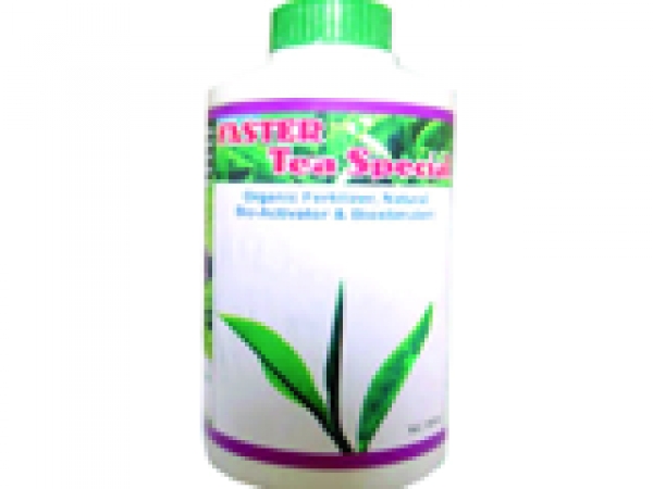 Faster Tea Special